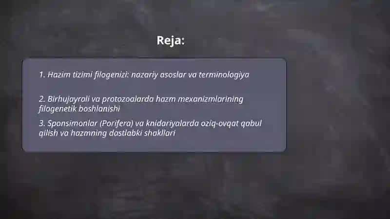 Hazim tizimi Filogenizi 2