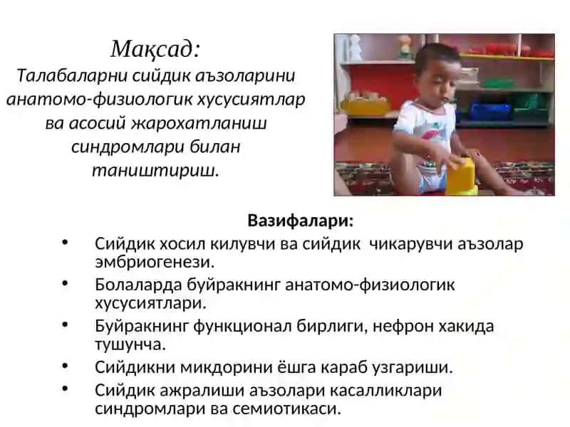 Болаларда сийдик аъзоларининг анатомо-физиологик хусусиятлари ва жарохатланиш синдромлари 2