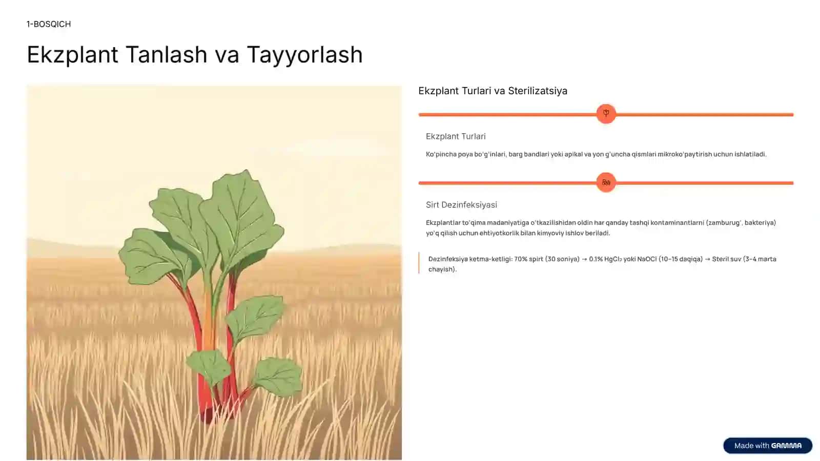 VITRO RAVACHINI YETISHTIRISH TEXNOLOGIYASI 2