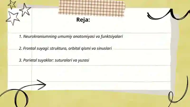 Neurokraniumning umumiy anatomiyasi va funktsiyalari 2