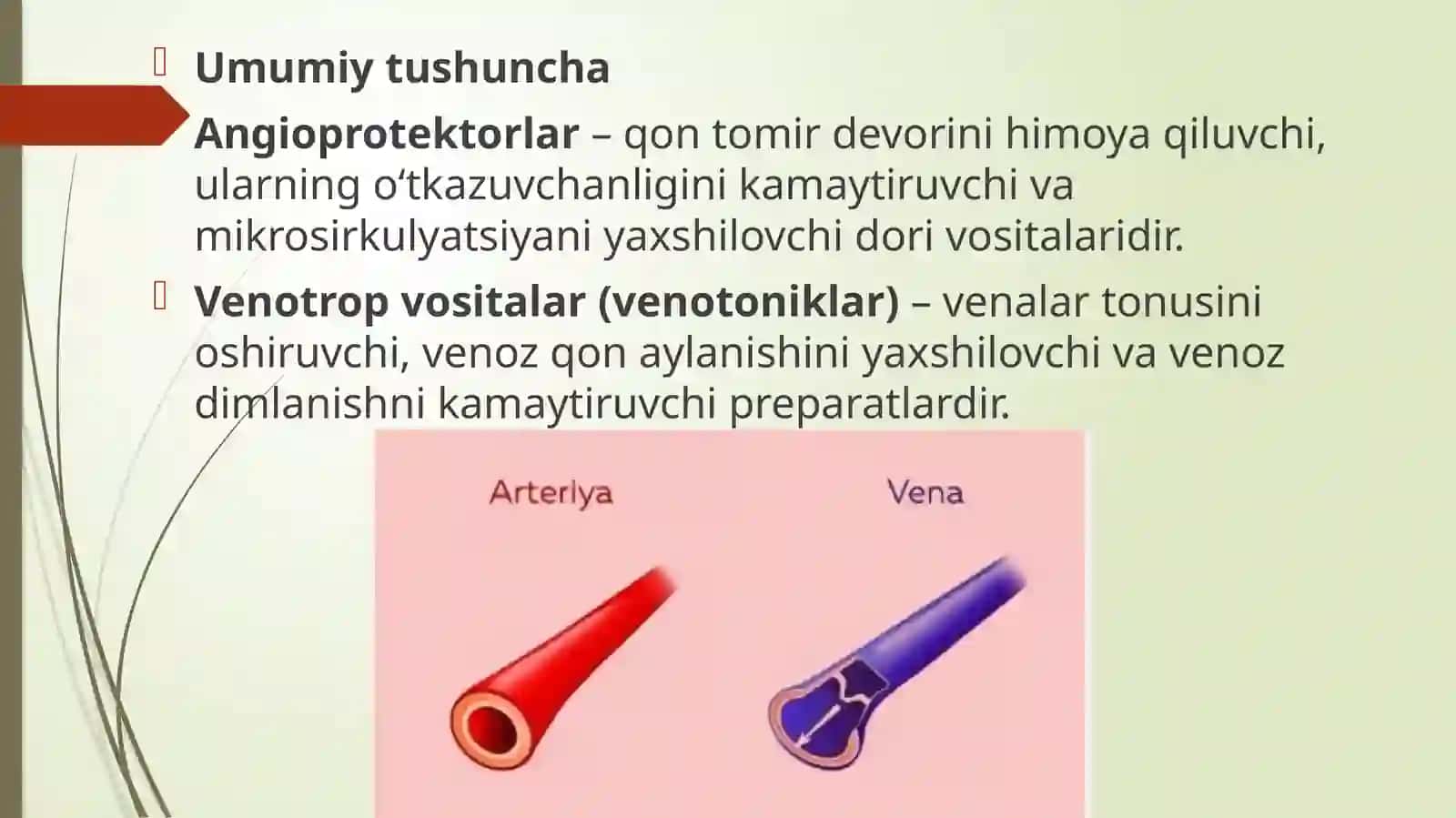 Angioprotektorlar va Vinotop vositalari 2