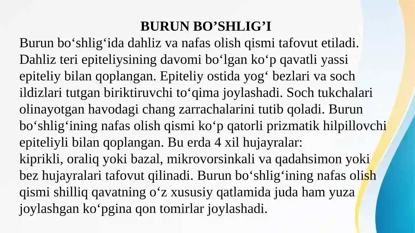 Nafas olish tizimi azolarining qiyosiy gistologik tavsifi 2