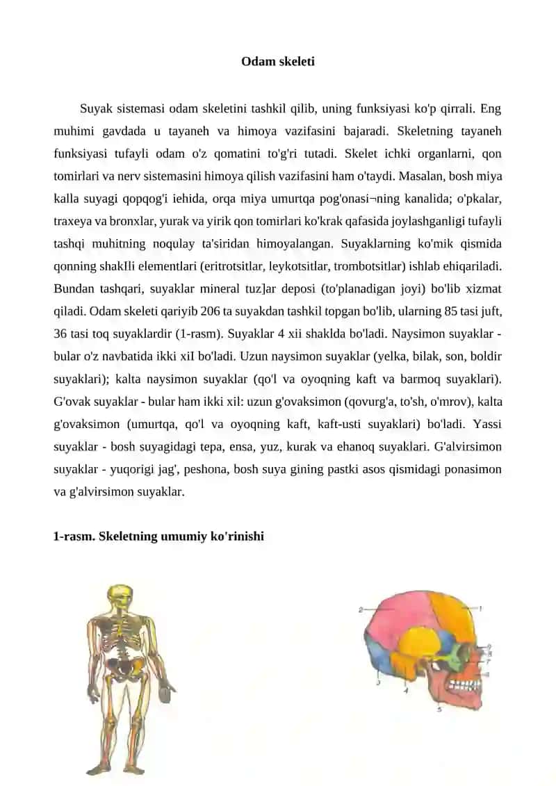 Tayanch-harakatlanish sistemasining tuzilishi 2