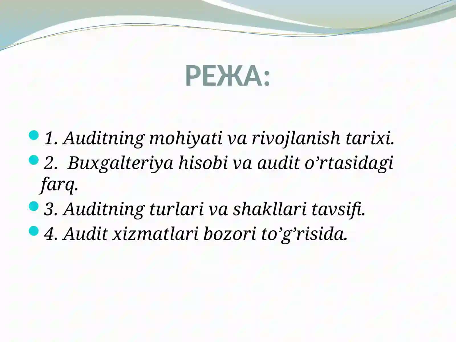 AUDITGA UMUMIY TAVSIF 2