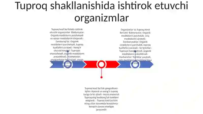 Organizmlar Va Tuproq Hosil Bo'Lishi Hamda Geografiyasi 2