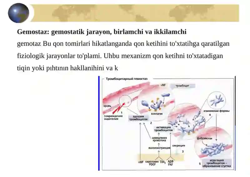 GEMOSTAZ TIZIMIGA TA’SIR ETUVCHI DORI VOSITALARNING KLINIK FARMAKOLOGIYASI 2