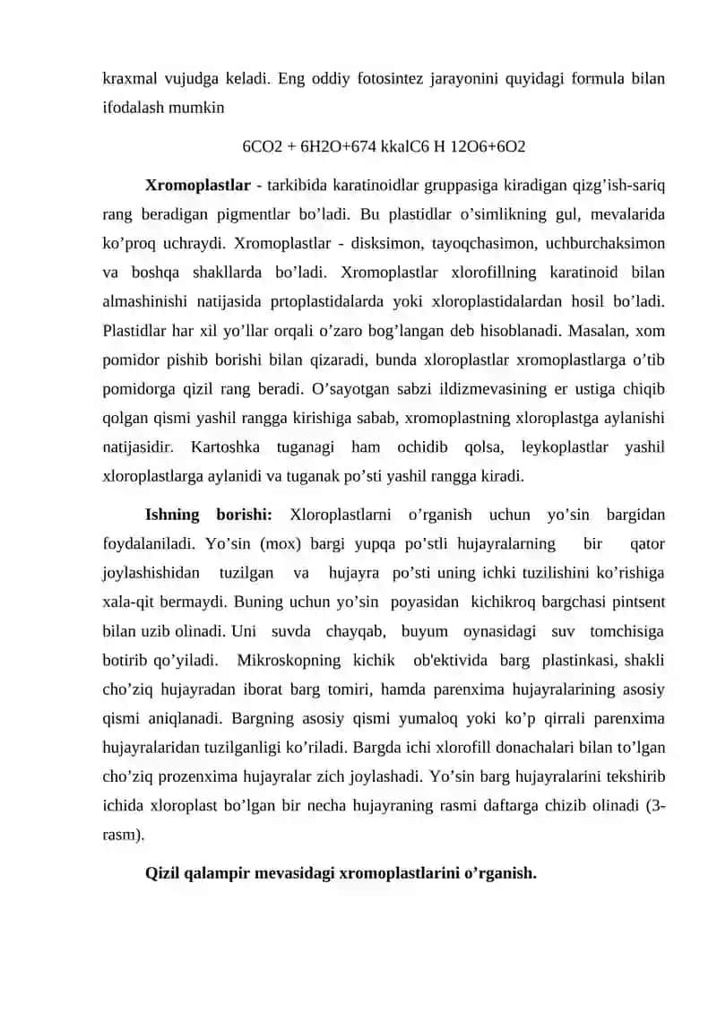 Plastidalar va ularning turlari 2
