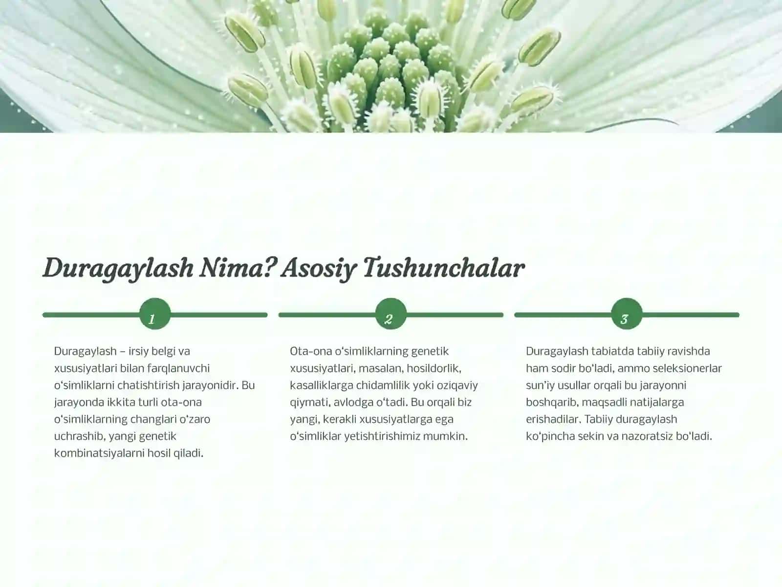 O‘simliklarni Duragaylash Yo‘li Bilan Dastlabki Material Yaratish 2