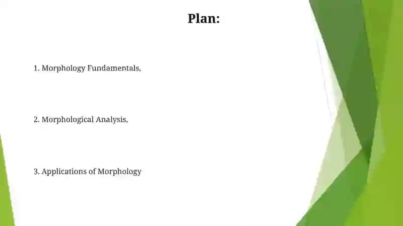 Morphology Fundamentals 2