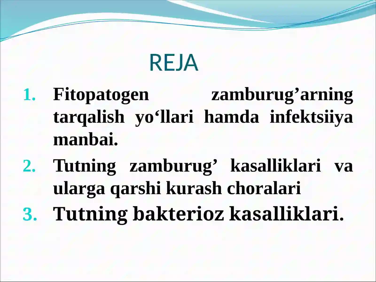 Tutning zamburug’ va bakterioz kasalliklari 2