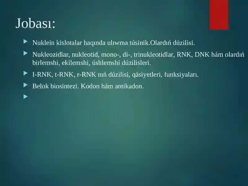 Nuklein kislotaları bioximiyası 2