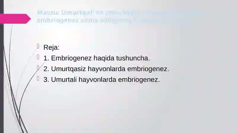Umurtqali va umurtqasiz hayvonlar misolida embriogenez xilma-xilligining filogenetik asoslari 2
