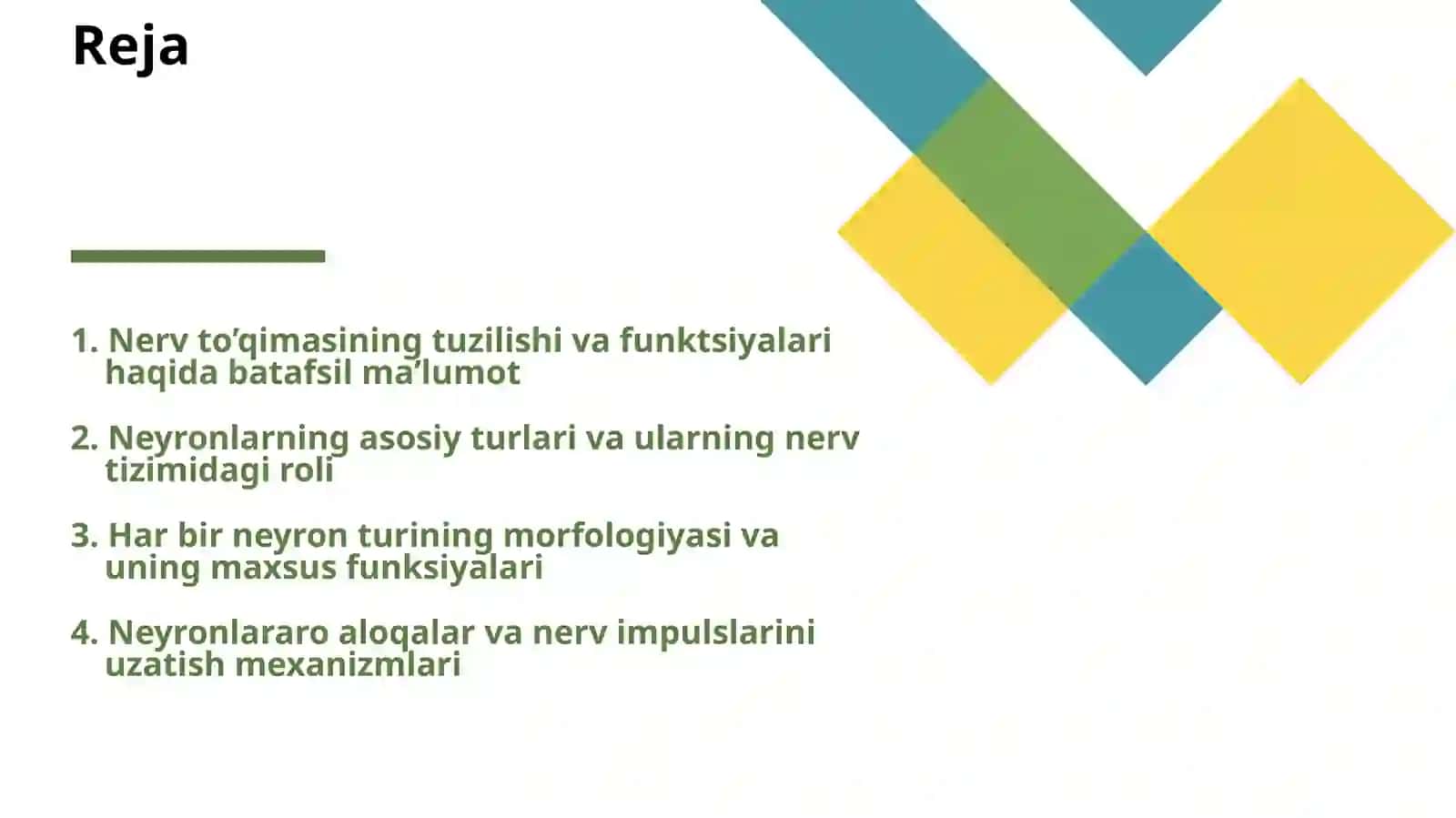 NERV TO’QIMASI-NEYRONLAR TURLARI HAQIDA 2