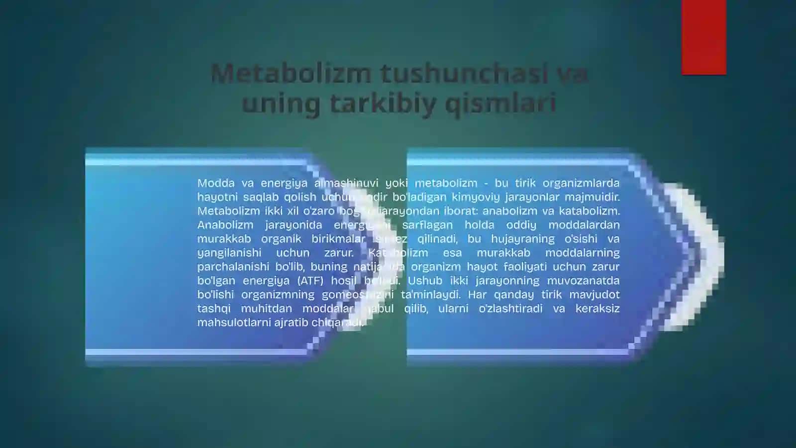 Modda va energiya almashinuvi: Hayotning asosi 2