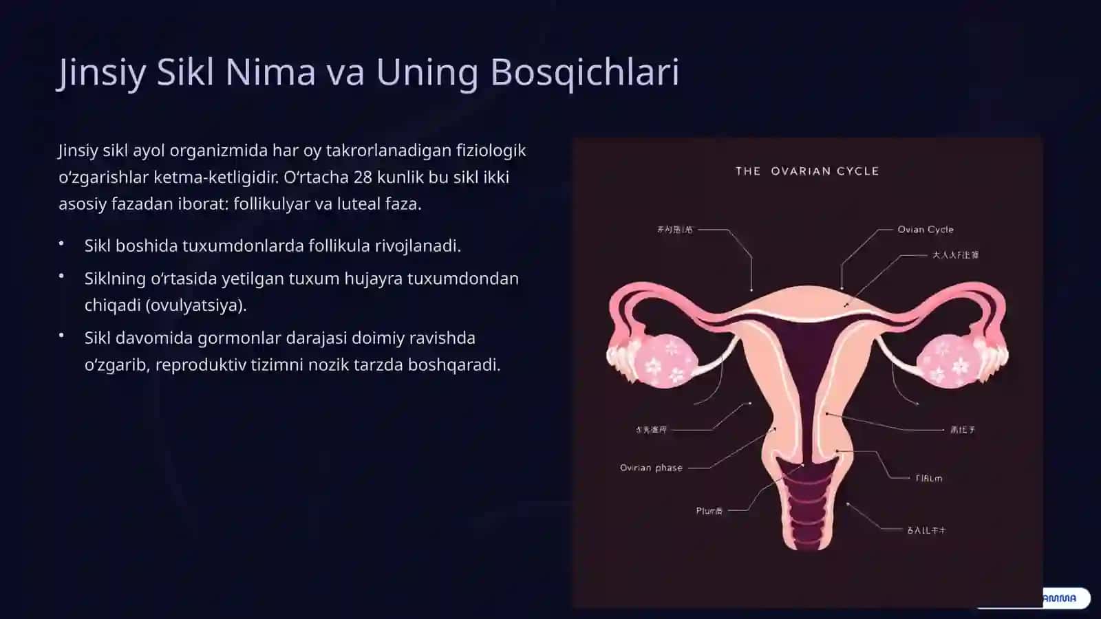 Jinsiy Siklning Gormonal Boshqaruvi Mexanizmi 2