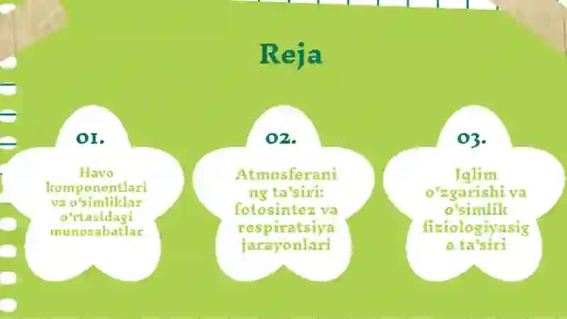 Atmosferaning havo komponentlarining o'simliklar fiziologik jarayonlarga ta'siri 2