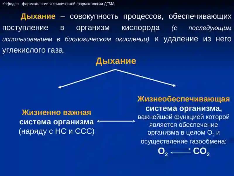 Средства, влияющие на функции органов дыхания 2