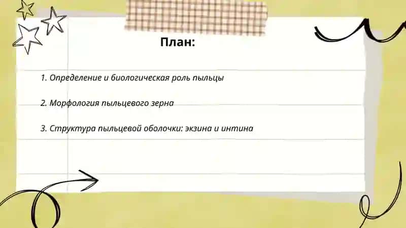 Пыльца. Строение тычинки 2