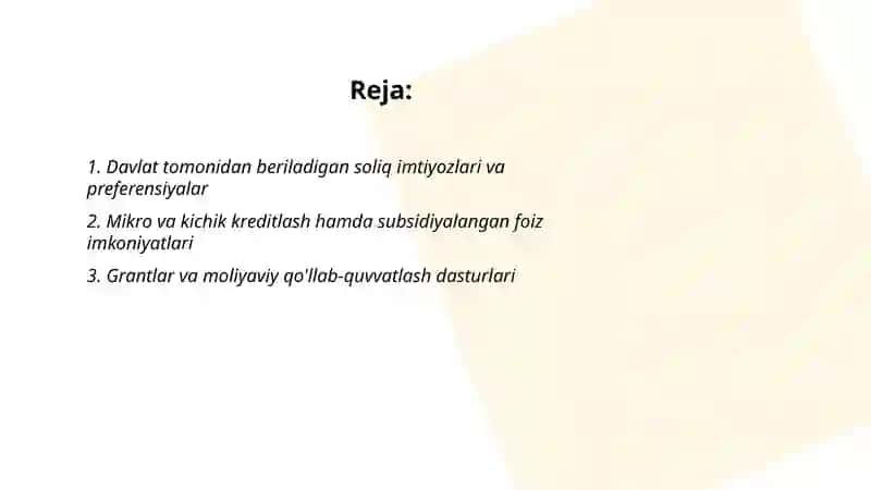 Kichik biznes subyektlariga berilganimkoniyatlar 2