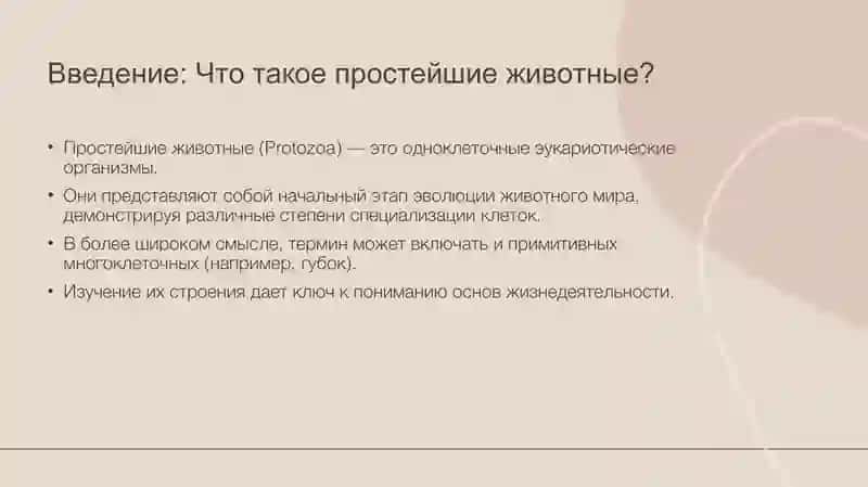 Простейшие животные. Их морфология, строение и методы изучения. 2