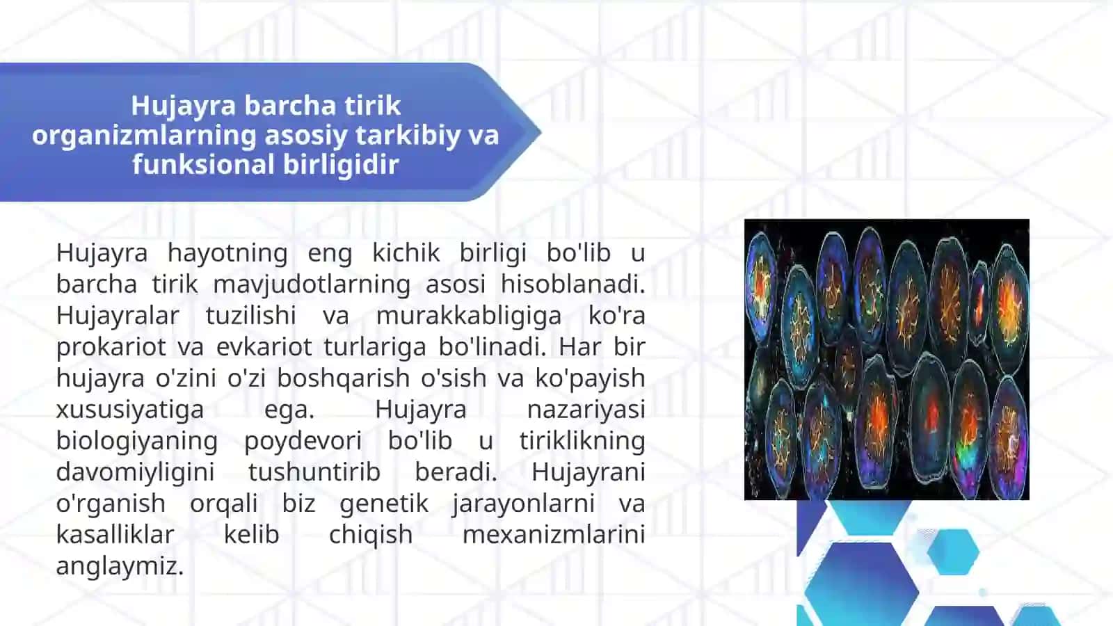 Hujayra va uning tarkibiy qismlari haqida to'liq texnik tahlil 2