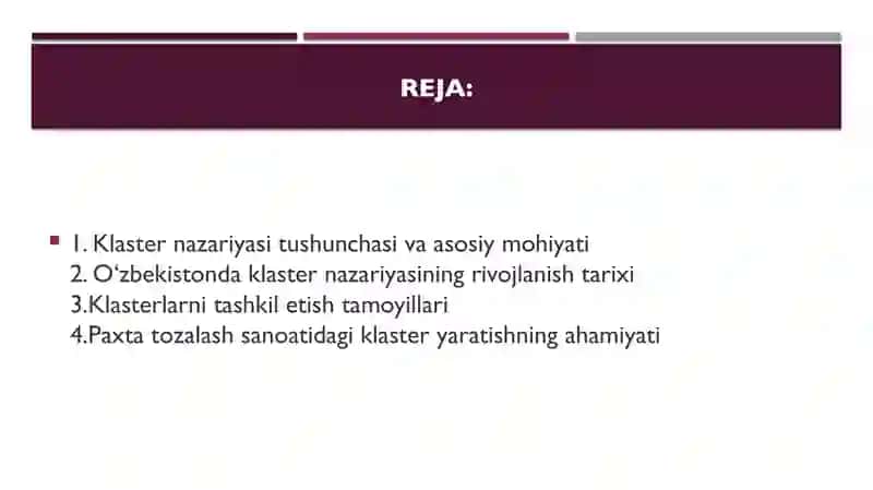 O’zbekistonda klaster nazariyasi va amaliyoti. Paxta tozalash va to’qimachilik sanoatida klaster 2
