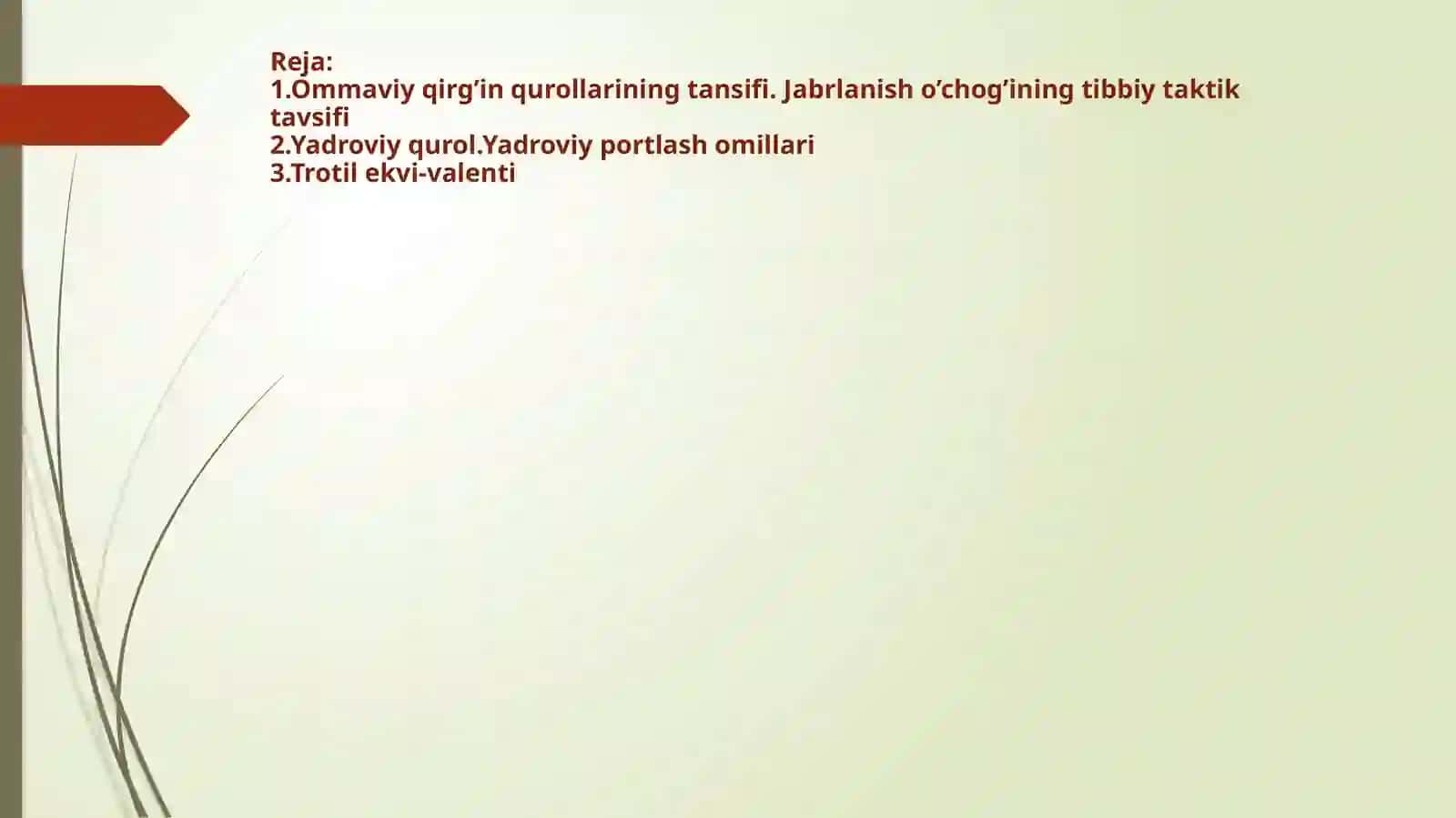 Ommaviy qirg’in qurollarining tasnifi. Jabrlanish o’chog’ining tibbiy taktik tavsifi. Yo’qotishlar. Yadroviy qurollar. Trotilekvi-valenti. Yadroviy portlash omillari 2
