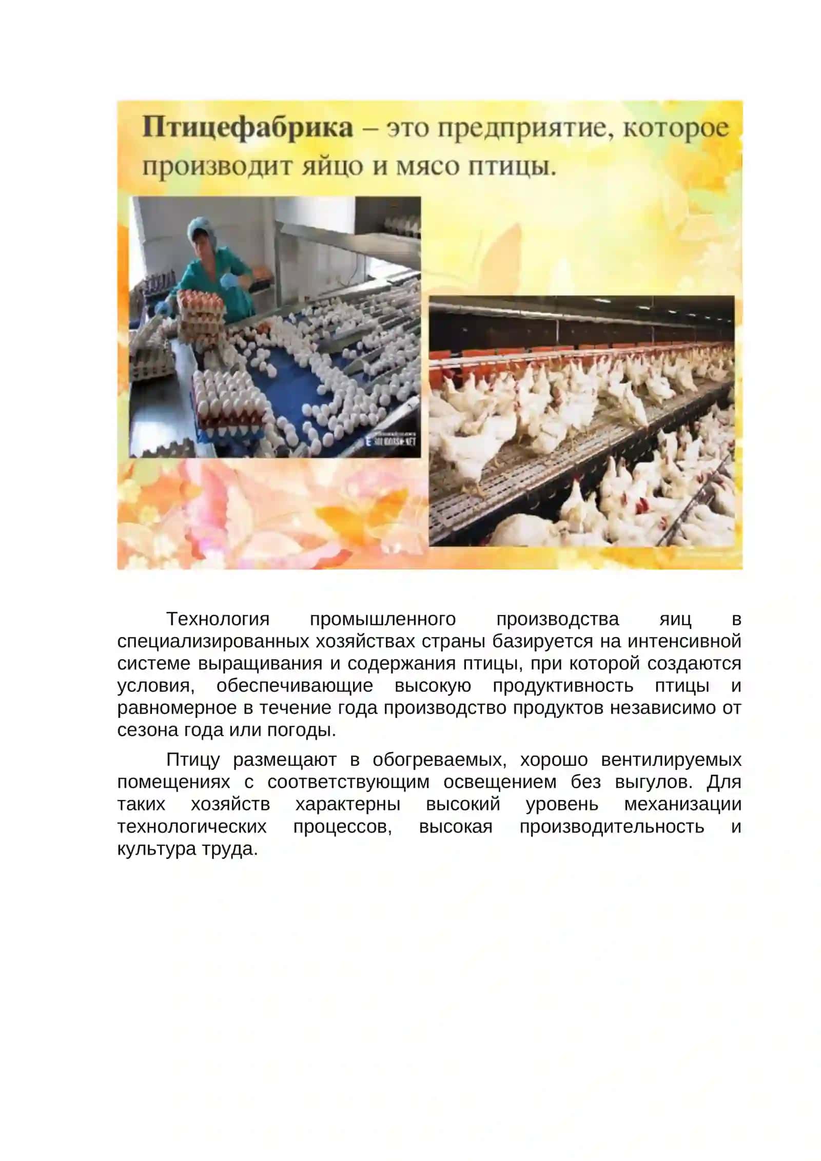 Истеъмол тухуми ишлаб чиқариш технологияси 2