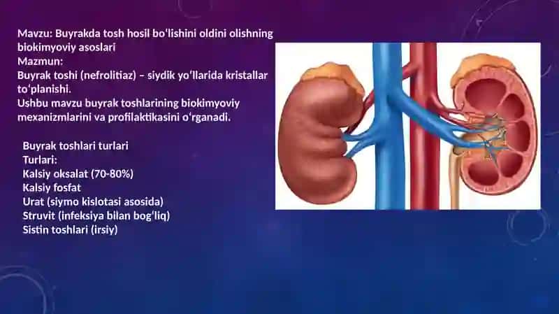 Buyraktoshlarining Biokimyoviy Mexanizmlari va Profilaktikasi 2