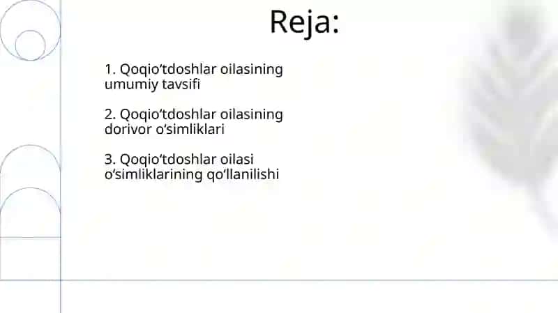 Qoqio'tdoshlar oilasi dorivor vakillari 2