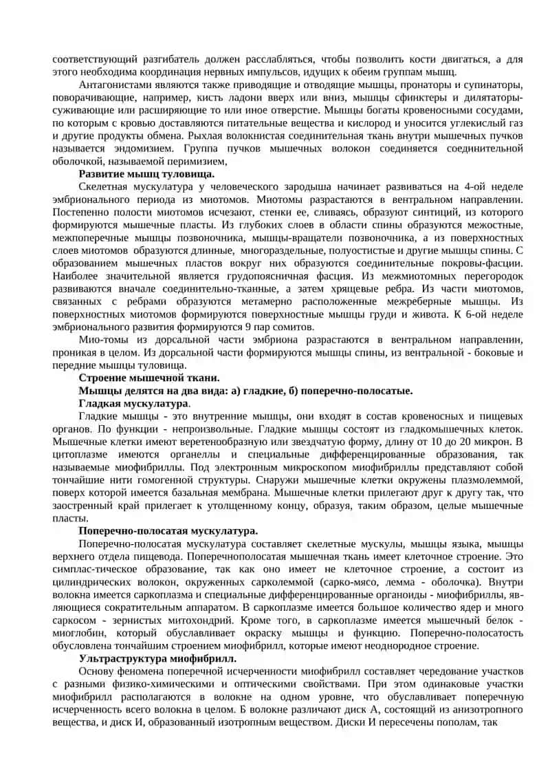 ЛЕКЦИЯ № 5 "ОБЩАЯ АНАТОМИЯ МЫШЕЧНОЙ СИСТЕМЫ. МЫЩЦЫ ТУЛОВИЩА" 2