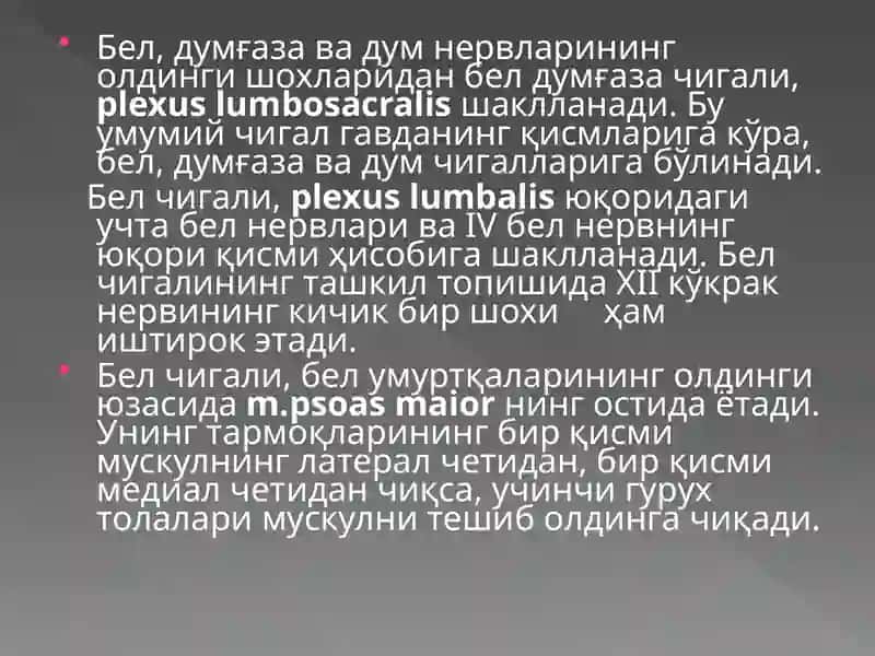 Бел-думгаза чигалининг функционал анатомияси 2