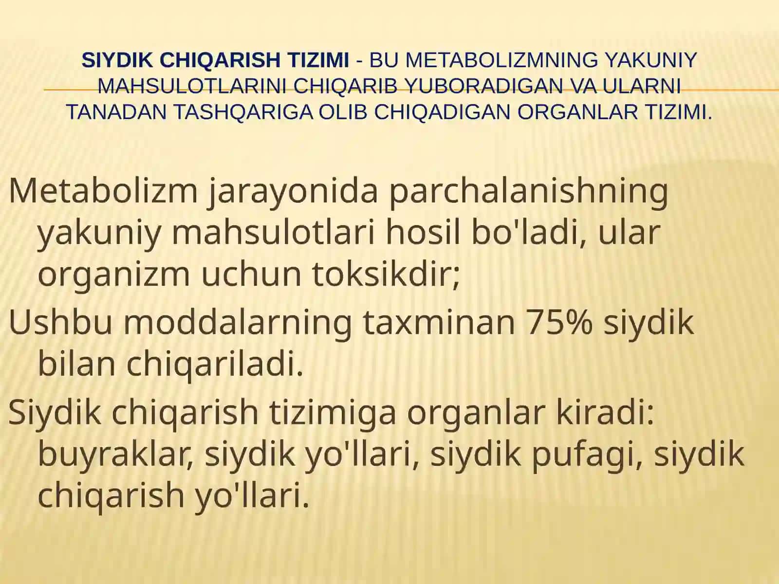Siydik chiqarish tizimi anatomiya va fiziologiyasi 2