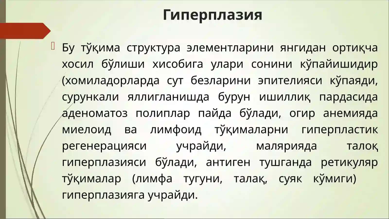 Усма хужайраларини келиб чикишидаги ахамияти 2