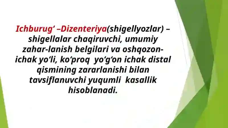 Ichburug‘ –Dizenteriya (shigellyozlar) 2
