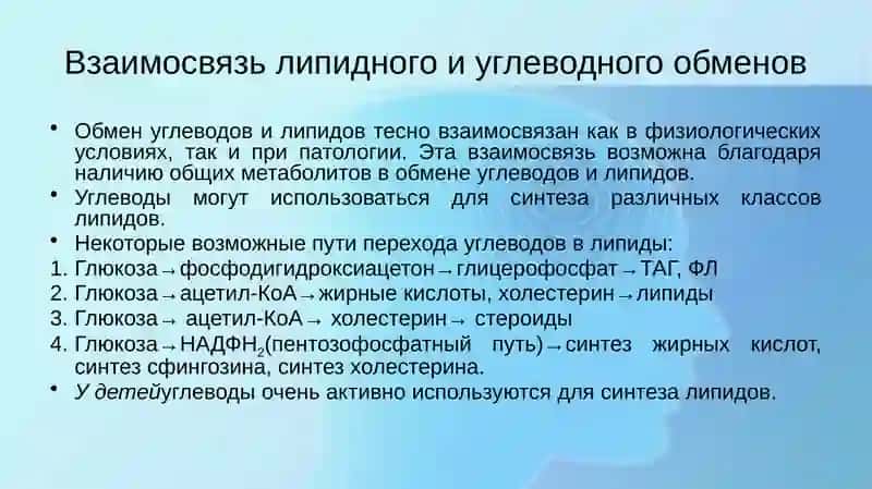 Углеводом липидном аминокислот 2