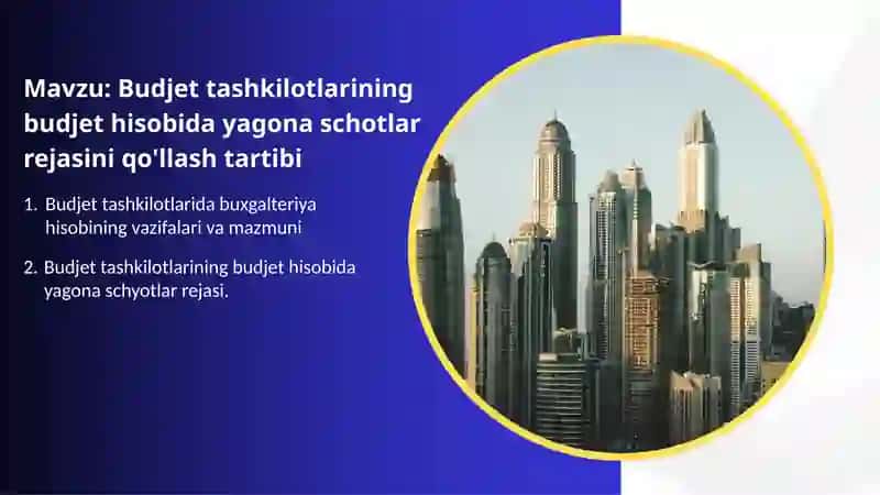 Budjet tashkilotlarining budjet hisobida yagona schotlar rejasini qo'llash tartibi 2