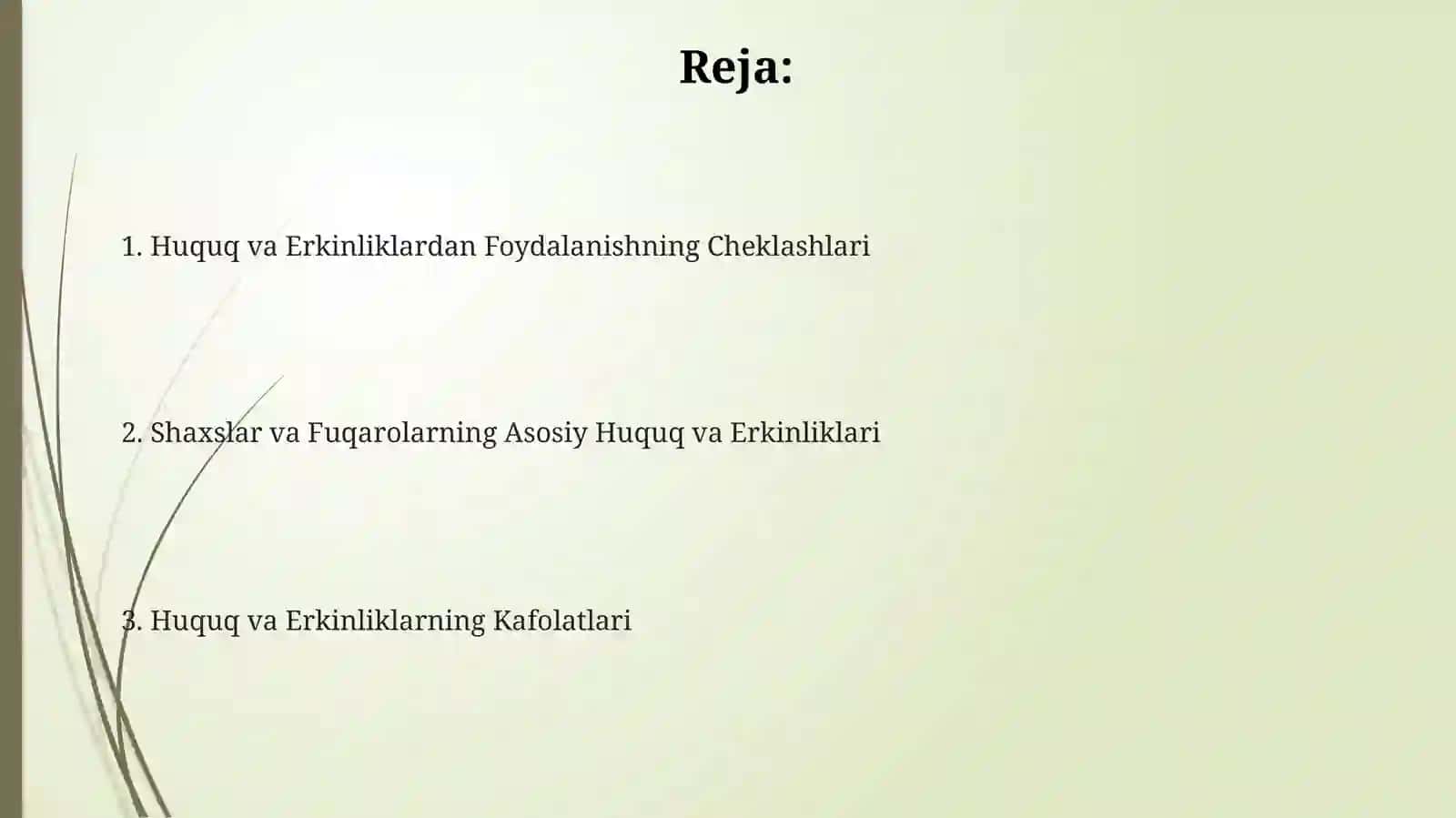 Inson va fuqarolarning asosiy huquq va erkinliklari 2