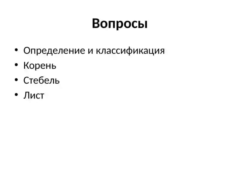 Вегетативные органы растений 2