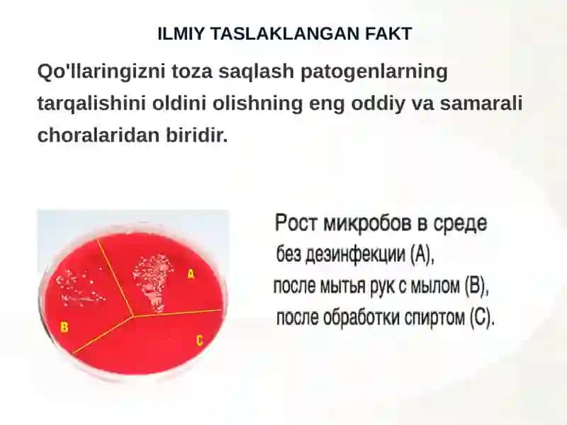 Jahon sogʻliqni saqlash tashkiloti 2