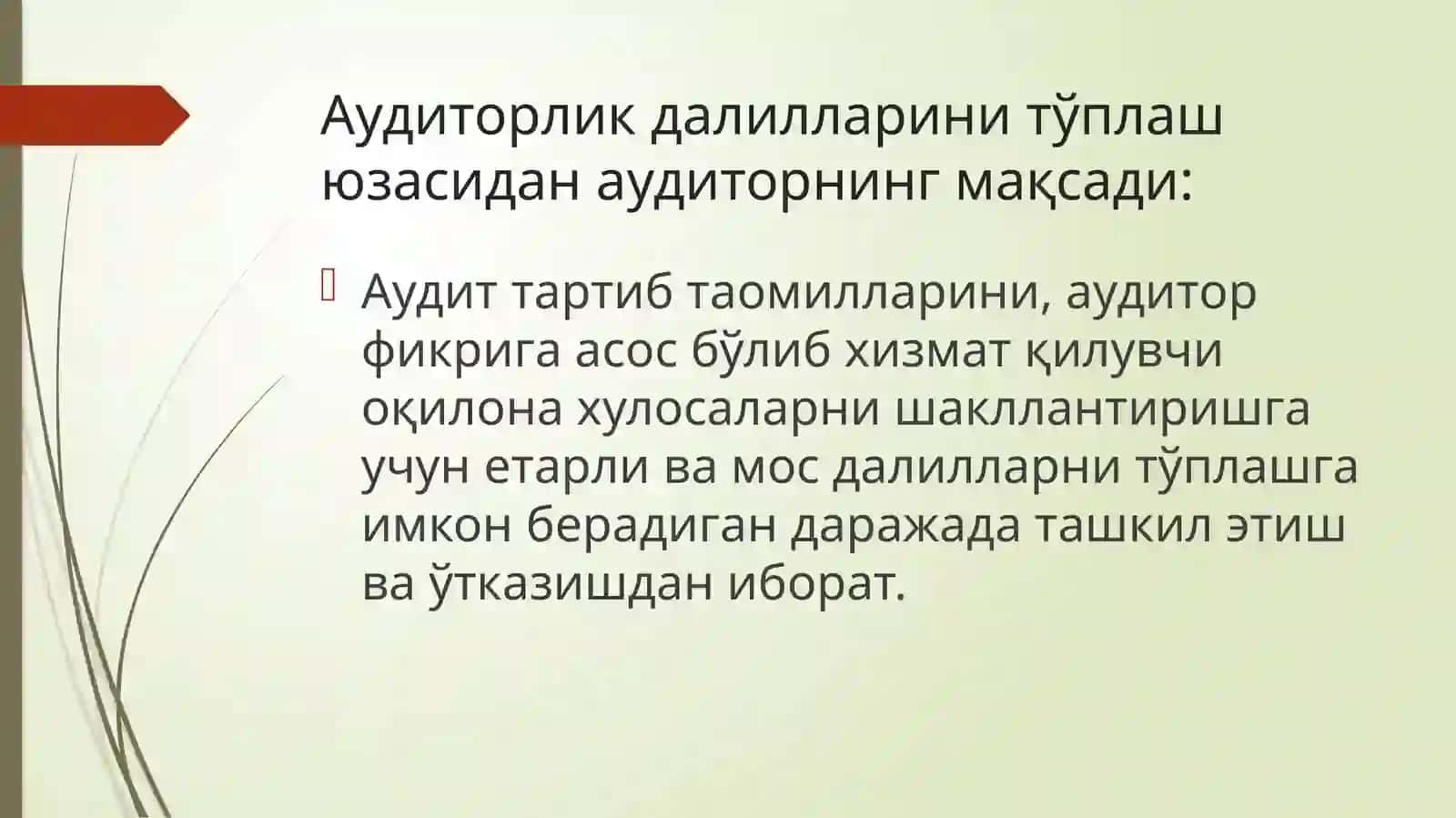 Аудиторлик далиллари 2