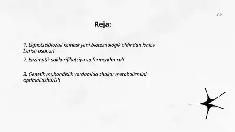 Biotexnologik usullar orqali bioyoq ilg‘ilar olish texnalogiyasi 2