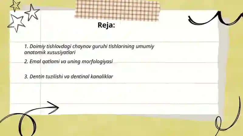 Doimiy tishlovdagi chaynov guruhi tishlarining tuzilishi 2