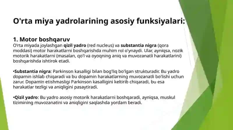 Oʻrtamiya— boshmiyaningoraliqmiyabilanVaroliykoʻprigioʻrta 2