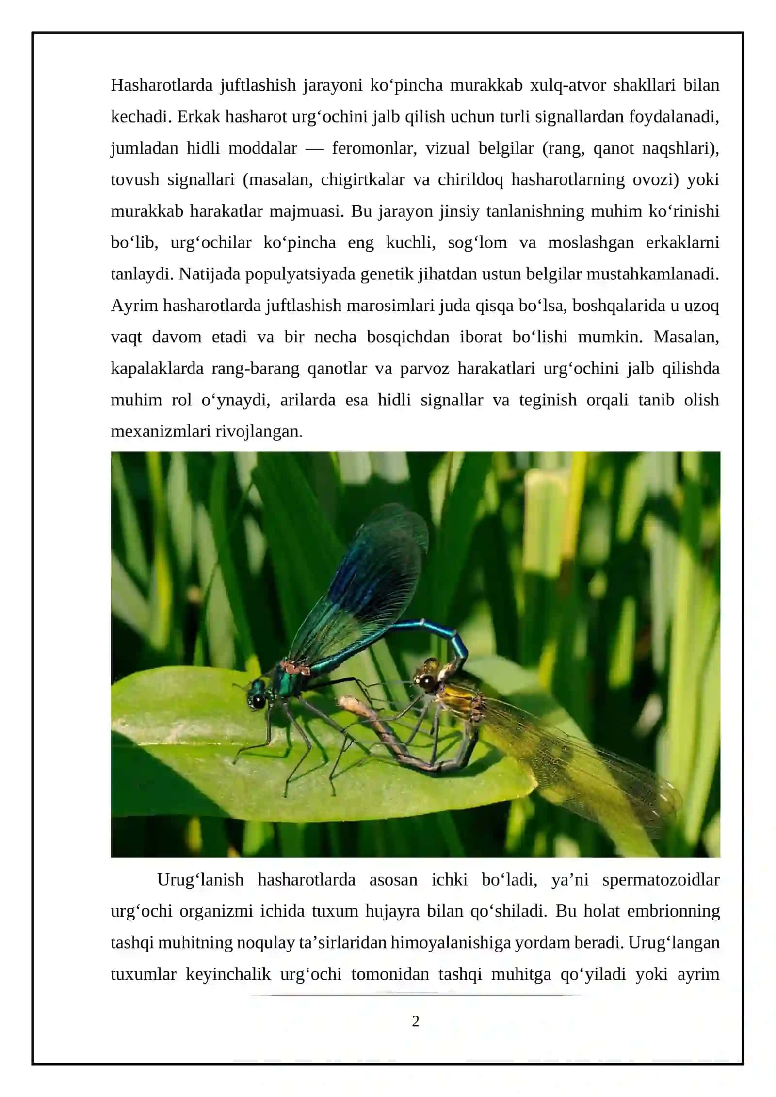 Hasharotlarning ko‘payishi va rivojlanish biologiyasi 2