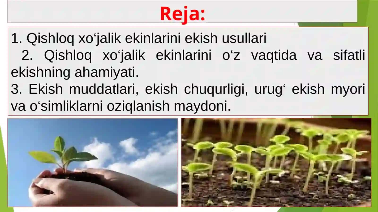 QISHLOQ XO‘JALIK EKINLARINI EKISH USULLARI 2
