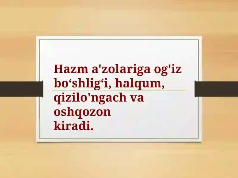 Slayd Hazm tizimi fiziologiyasi 2