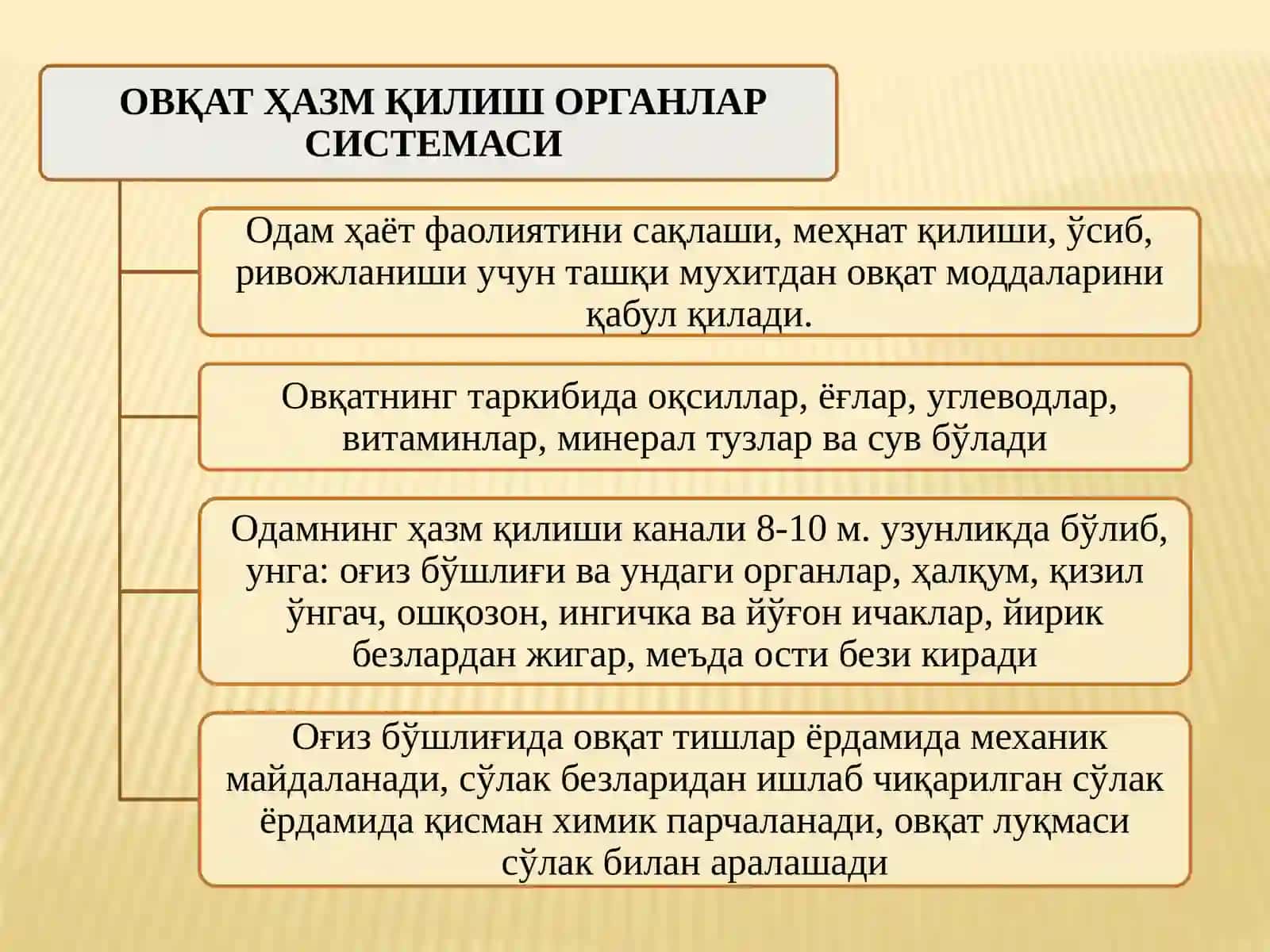 ОВҚАТ ҲАЗМ ҚИЛИШ ТИЗИМИНИНГ ЁШ 2