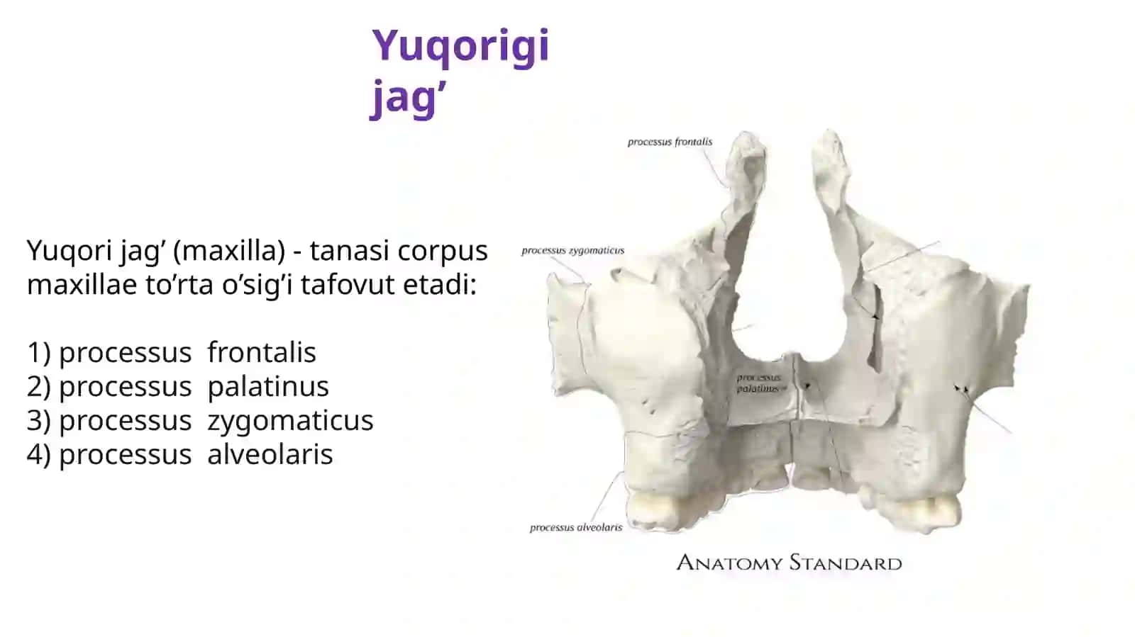 Stomatologiya402aNishonboyevMuhammadrasul 2