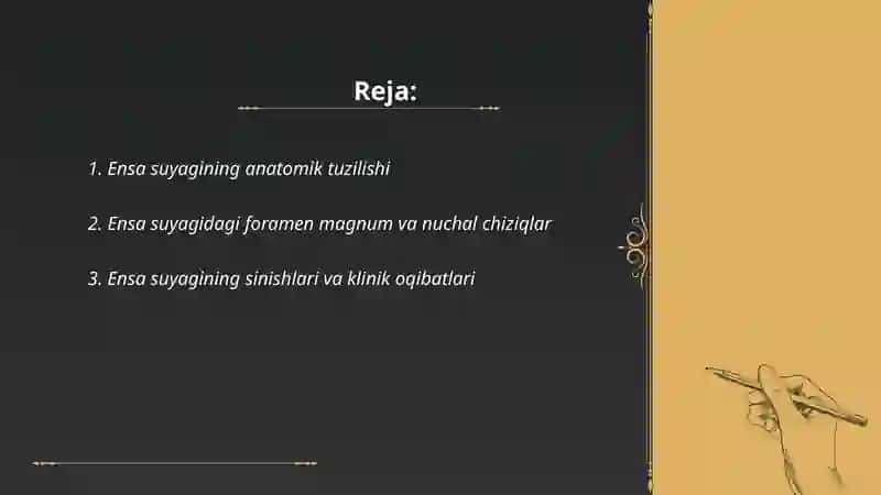 Ensa suyagining anatomik tuzilishi 2